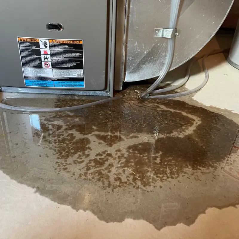 Appliance Leak Cleanup in Perry, NY